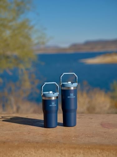 Stanley IceFlow Flip Straw Tumbler with Handle 20 oz | Twist On Lid and Flip Up Straw | Leak Resistant Water Bottle | Insulated Stainless Steel |BPA-Free | Navy