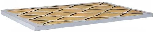 Filterbuy 20x36x1 Air Filter MERV 11 Superior Pet & Allergy Defense,