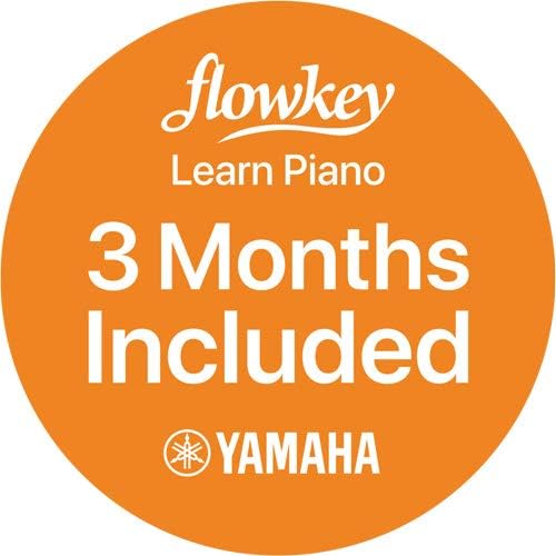 Yamaha DGX-670B, 88-Key Weighted Digital Piano with Sustain Foot Switch and Music Rest, Black - Furniture Stand Sold Separately
