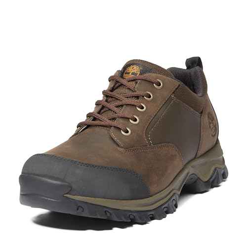 Timberland Men's Mt. Maddsen Waterproof Low Hiking Boot