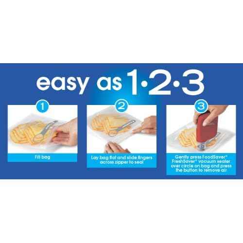 FoodSaver Vacuum Sealer FSFRSH0053 FreshSaver Handheld Sealing System, Red