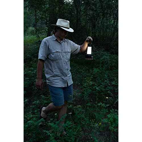 Stansport Rechargeable Camping Lanterns