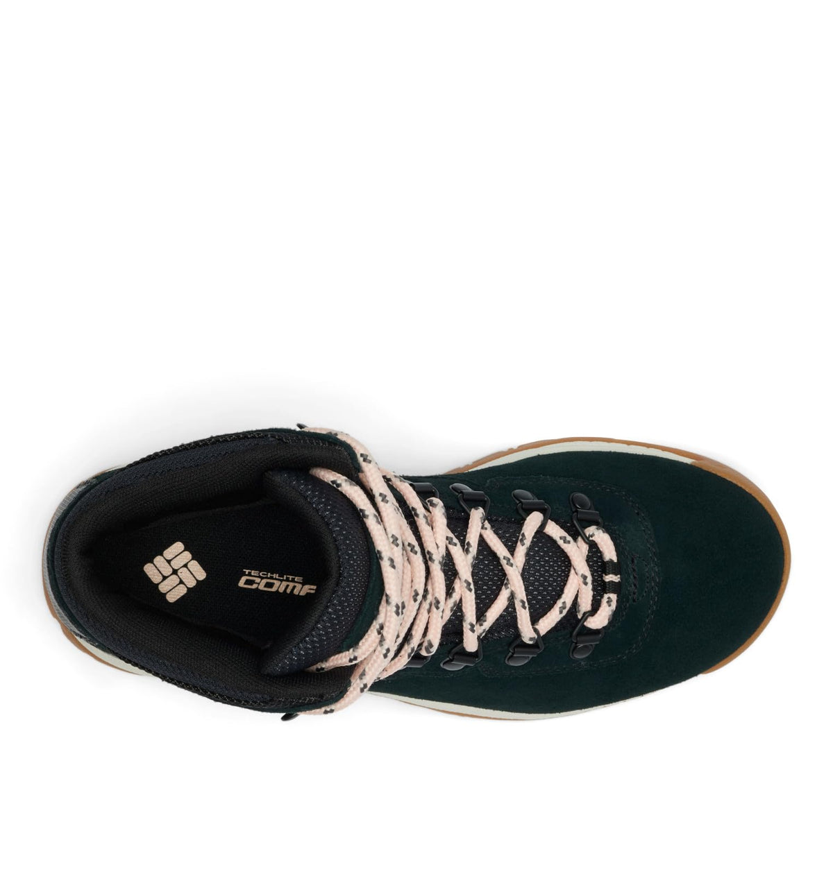 Columbia Women's Newton Ridge Plus, Black/Chalk, 6.5