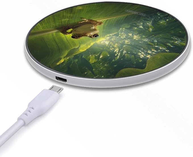 Frog Wireless Charger SlimWireless Charging Pad Anti-Slip Charger Mat for Men Women