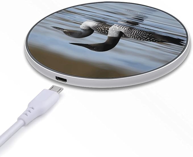 Loon Birds Wireless Charger Portable 10W Fast Wireless Charging Pad Compatible with Phone Ultra-Thin Charging Station Lightweight Charger Mat for Travel Home Office Desk