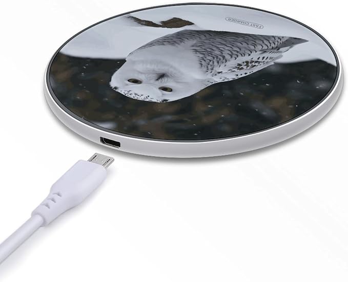Snow Owl Wireless Charger Aluminum Alloy Frame 10W Fast Charging Pad with Indicator Light 6mm Thin & Portable Wireless Charging Pad for Travel Home Office Desk