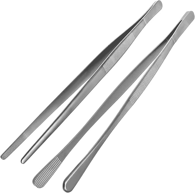 Litoexpe 2 PCS 10 Inches Fine Tweezer Tongs, Stainless Steel Cooking Tongs for BBQ Sea Food Repairing Serving, Silver