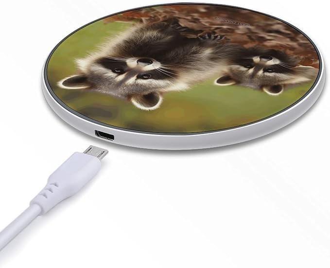 Raccoon Wireless Charger Fast Charging Pad | Anti-Slip Qi Certified Wireless Charging Pad for All Phones with Wireless Charging Function for Home Office Travel