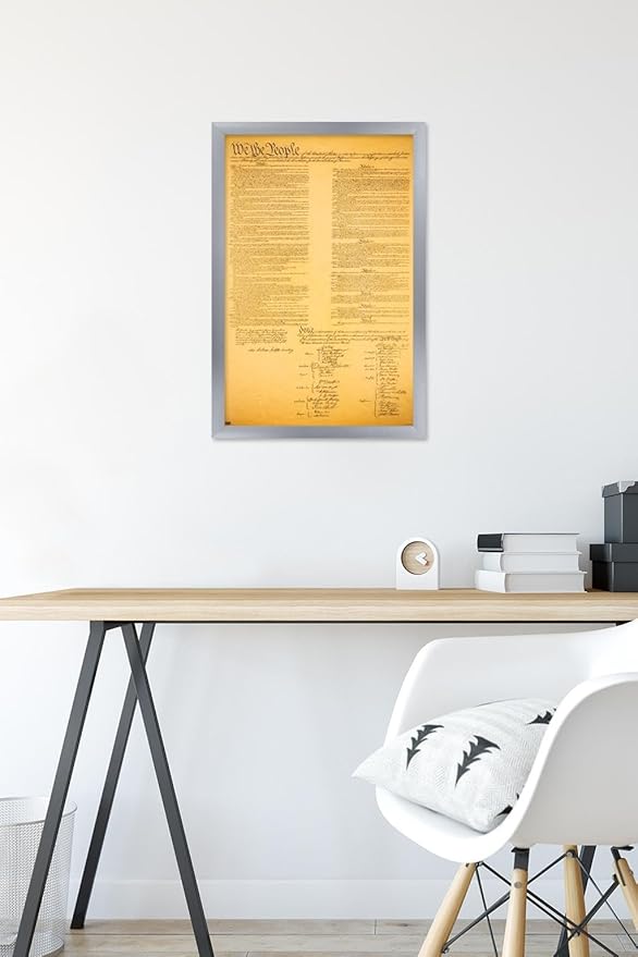 Trends International The Constitution Wall Poster, 14.725" x 22.375", Silver Framed Version