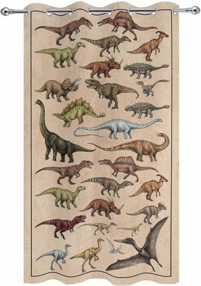 Vintage Outdoor Curtains for Patio Dinosaurs Biographies Retro Waterproof