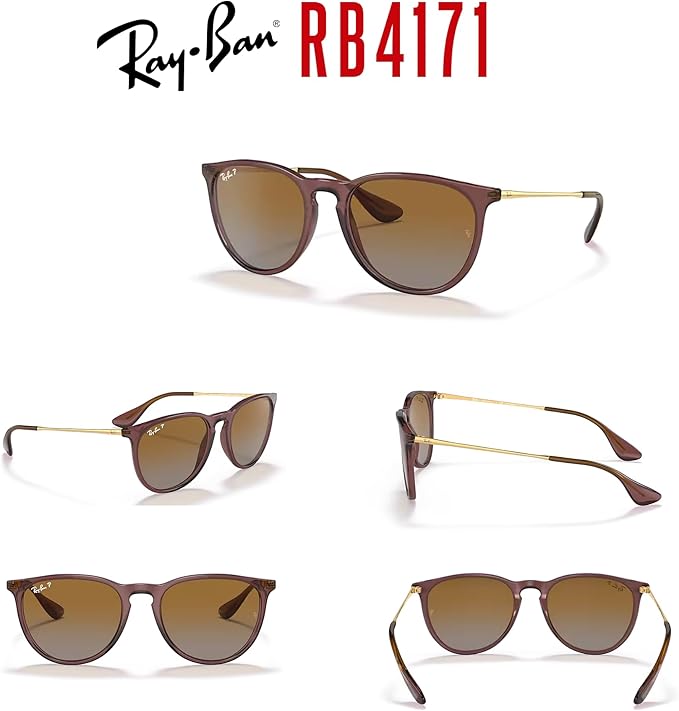 Ray-Ban RB4171 ERIKA Round Sunglasses For Women +BUNDLE with ACCESSORY EYEWEAR KIT