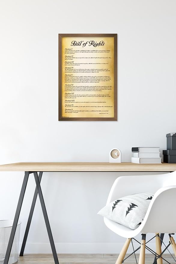 Trends International The United States of America - Bill of Rights Wall Poster, 14.725" x 22.375", Bronze Framed Version