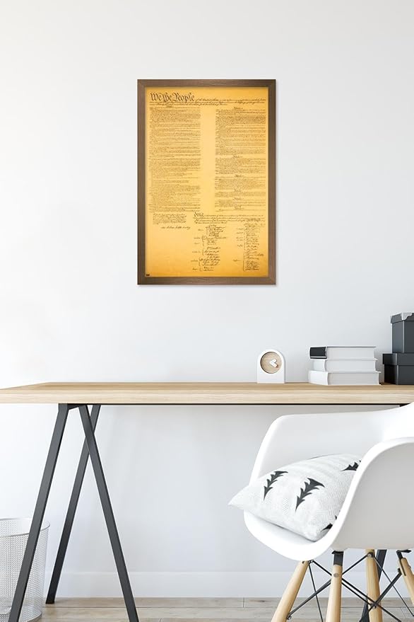 Trends International The Constitution Wall Poster, 14.725" x 22.375", Bronze Framed Version