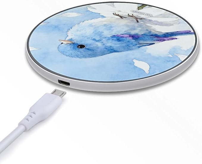 Bird Blue Wireless Charger with USB Cable Qi-Certified 10W Fast Wireless Charging Pad Portable Charging Station Anti-Slip Slim Charger Mat for All Qi-Enabled Phones