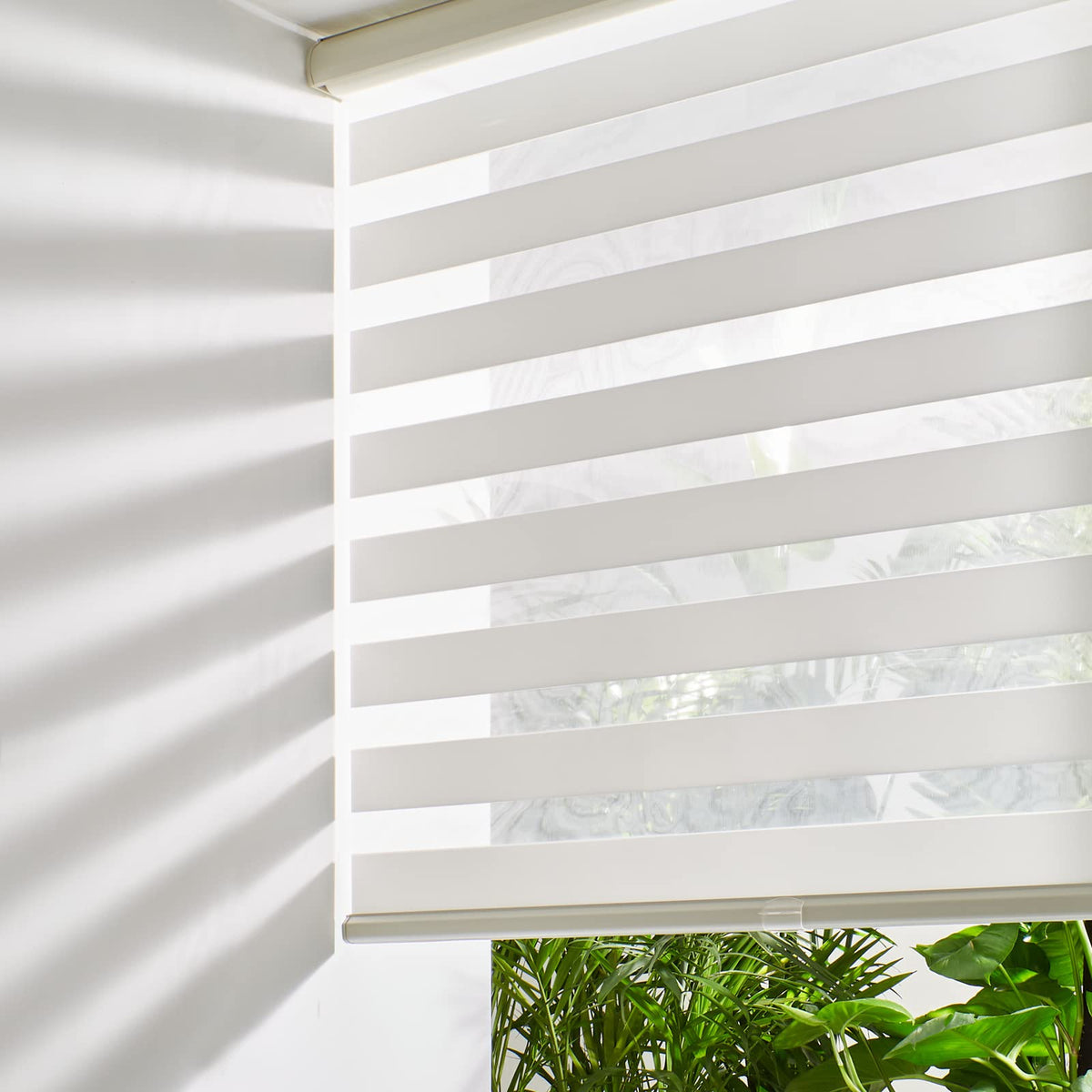 Persilux Cordless Zebra Blinds for Windows Free-Stop Roller Windows Shades (24" W X 72" H, Black) Dual Layer Light Control for Day and Night, Light Filtering Sheer Shades for Home, Bedroom