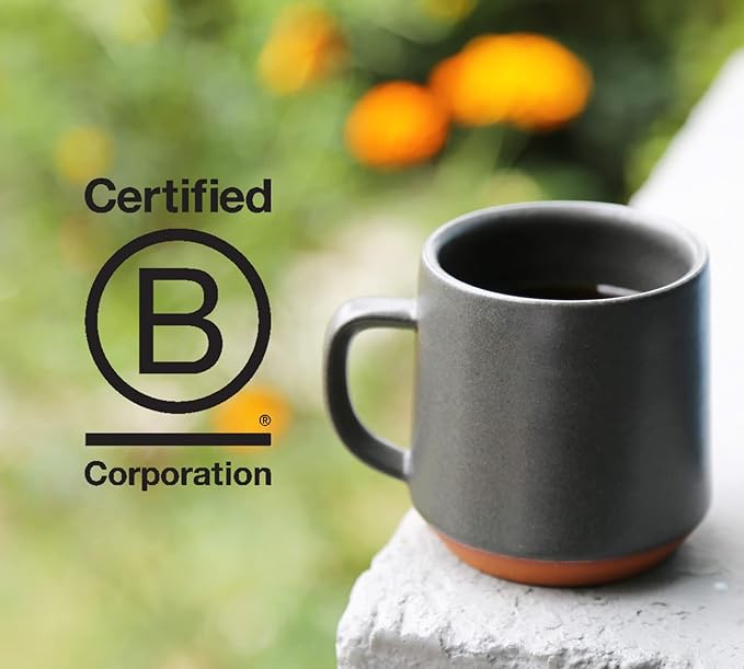 Counter Culture Whole Bean Organic Coffee 2-Pack (Apollo - Medium Roast) Citrus, Floral, Silky - Sustainably Sourced, B Corp Certified - Organic Coffee Beans - Kosher, Gluten Free, Nut Free - 12oz Bag