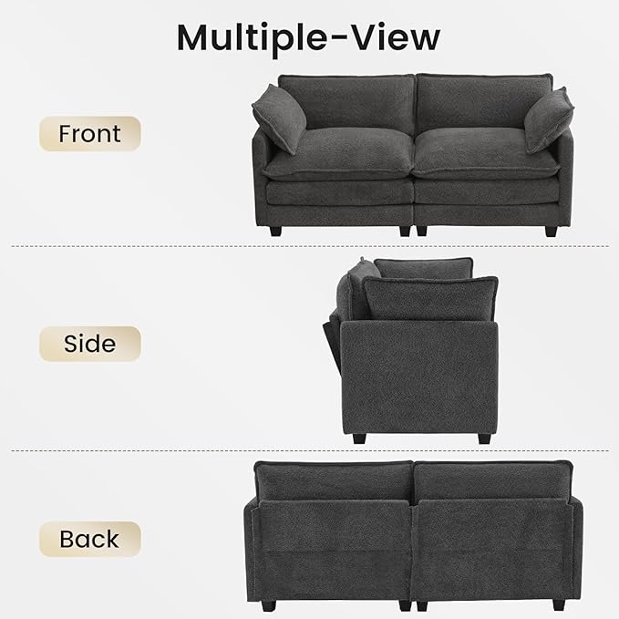 ROWHY Modular Loveseat Sectional Sofa, 78" Upholstered Loveseat, 2 Deep Seat Sofa Couch with 2 Throw Pillows for Small Space, Modern Comfy Cloud Couch for Living Room, Chenille, Charcoal Grey