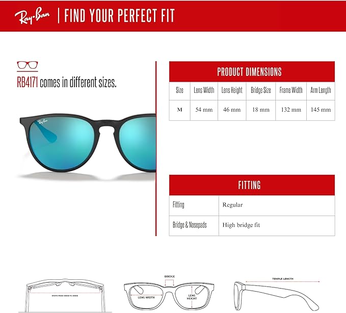 Ray-Ban RB4171 ERIKA Round Sunglasses For Women +BUNDLE with ACCESSORY EYEWEAR KIT
