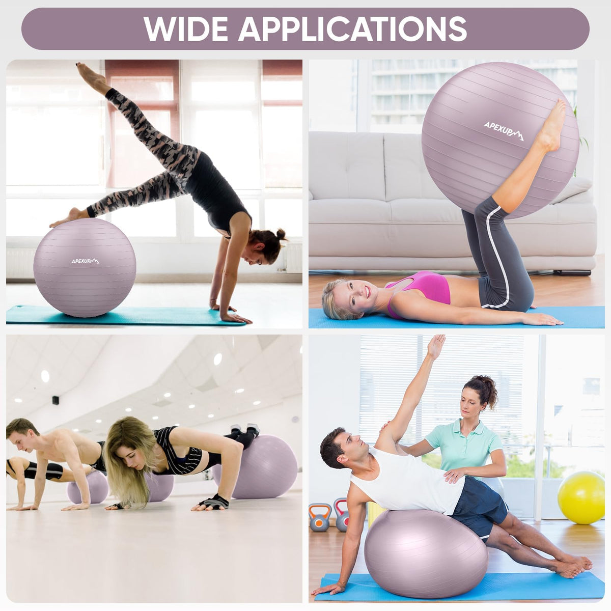 APEXUP Yoga Ball, 660 lbs Anti-Burst Exercise Ball with Pump, 5 Sizes