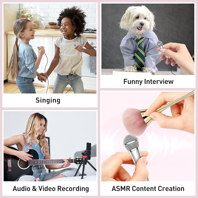 PoP voice 2PCS Mini Microphone for iPhone iPad Small ASMR Tiny Microphone for Video Recording, Singing, Vlogging, YouTube Two Mics Silver and Rose Golden