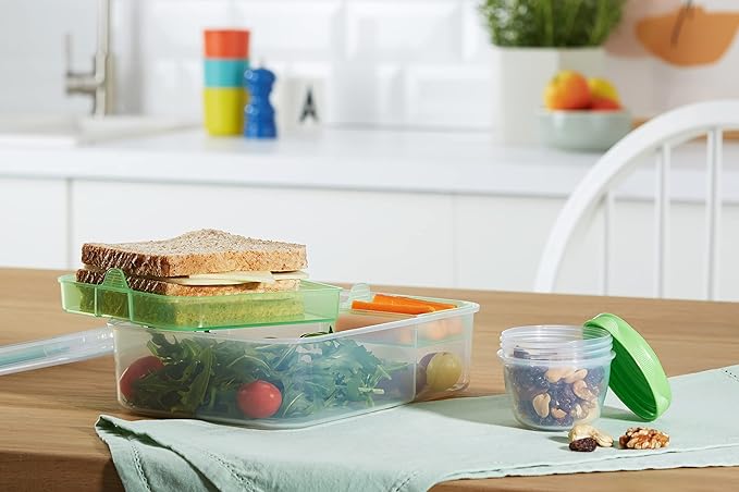 Sistema Bento Box Adult Lunch Box with 2 Compartments