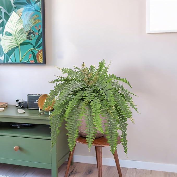 Hollyone Artificial Fern Plants in White Pot 25.5" Medium Artificial Boston Fern 31 Leaves for Outdoors & Indoor Faux Potted Plants Fake Ferns Bush Plant Patio Garden Farmhouse Porch Decor Dusty Green