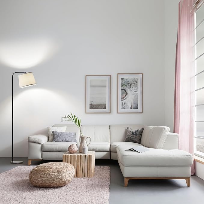 AKASUKI Floor Lamp for Living Room with 3 Color Temperatures, Foot Switch Standing Lamps for Living Room, Bedroom, Office, Arc Mordern Floor Lamp with 9W LED Bulb Included
