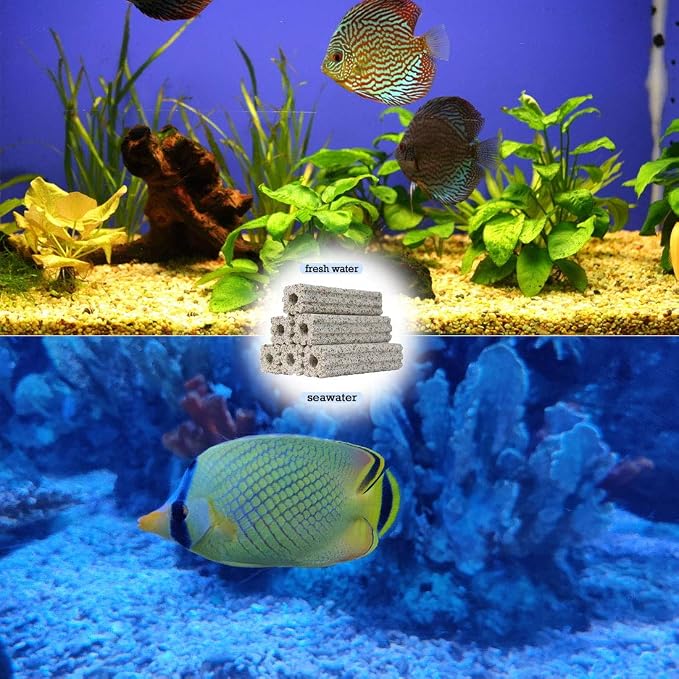 PINVNBY 20 Pcs 6.2-Inch Large Aquarium Filter Media Fish Tank Ceramic Media