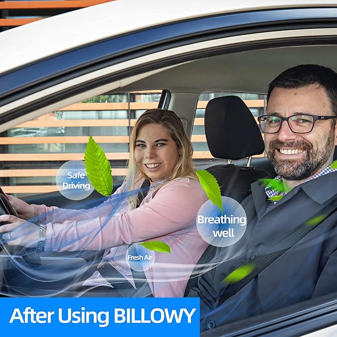 6040C Cabin Air Filter CF11183