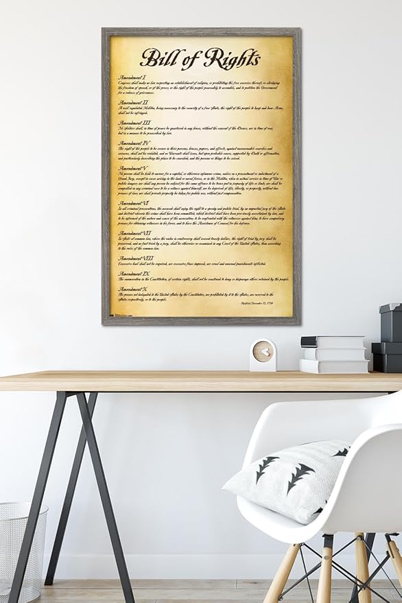 Trends International The United States of America - Bill of Rights Wall Poster, 22.375" x 34", Barnwood Framed Version