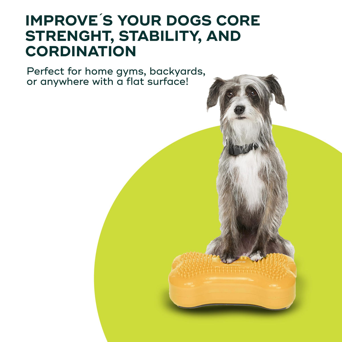 FitPaws® Mini K9FITbone® Dog Balance and Exercise Equipment, Mango, 2-Pack