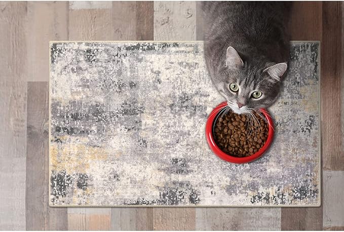 Lahome Modern Abstract Area Rug - 2x3 Small Gray Bath Rug Soft Washable Non-Slip Contemporary Entryway Rug, Throw Doormat Indoor Entrance Floor Accent Carpet for Kitchen