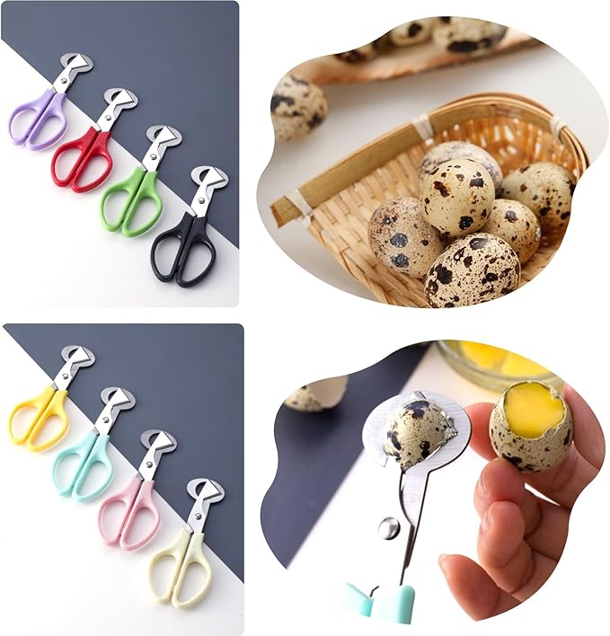SLWHYZL 9 Pack Quail Egg Scissors - Stainless Steel Quail Scissors 9 Color for Quail Eggs