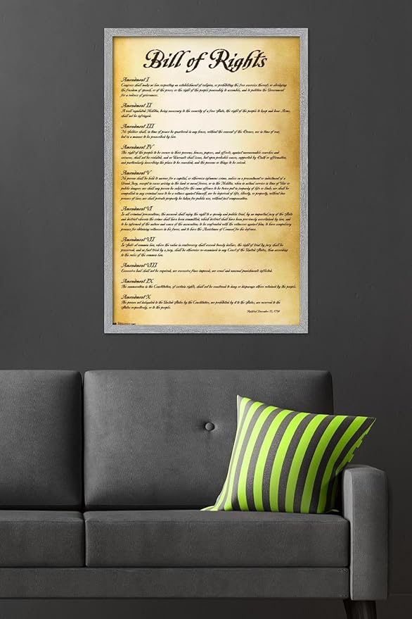 Trends International The United States of America - Bill of Rights Wall Poster, 34L x 22.4W, Gray Framed Version