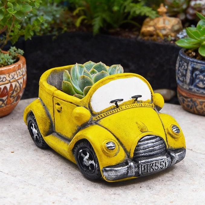 Cute Cacti & Succulent Plants Pot, Succulent Decor Planter Pot Indoor/Outdoor