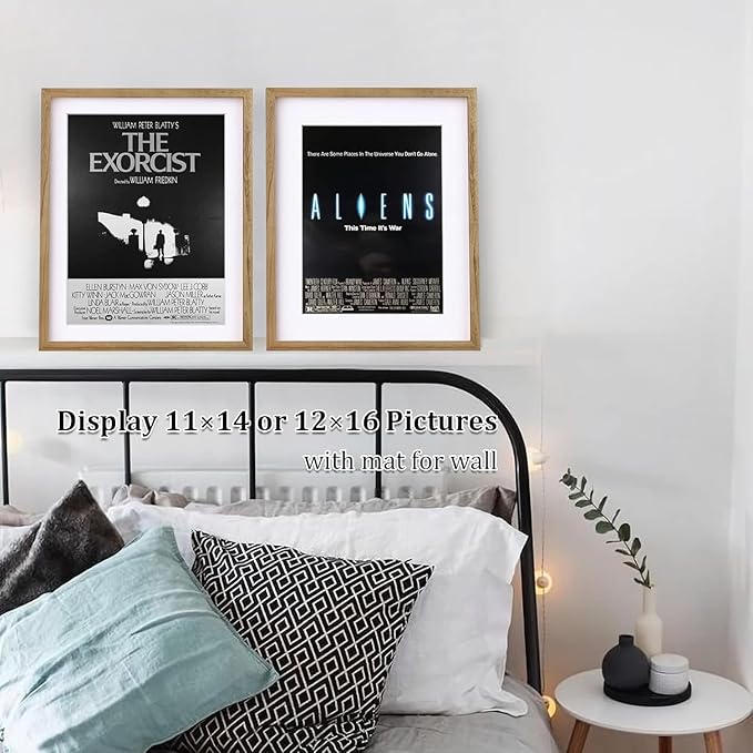 Egofine 16x20 Picture Frame, Made of Solid Wood Covered by Plexiglass 11x14/12x16 with Mat 16x20 without Mat, Poster Frame for Wall Mounting Photo Vertically or Horizontally, Carbonized Brown