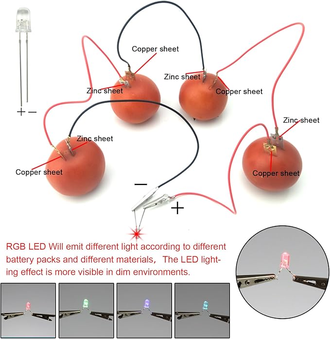 EUDAX Fruit Battery Science Experiment Kit for DIY School Home Teaching Equipment, Orange Lemon Potato Electronic Clock Science Project Kit Physics Educational for Students Teachers (4 Set)