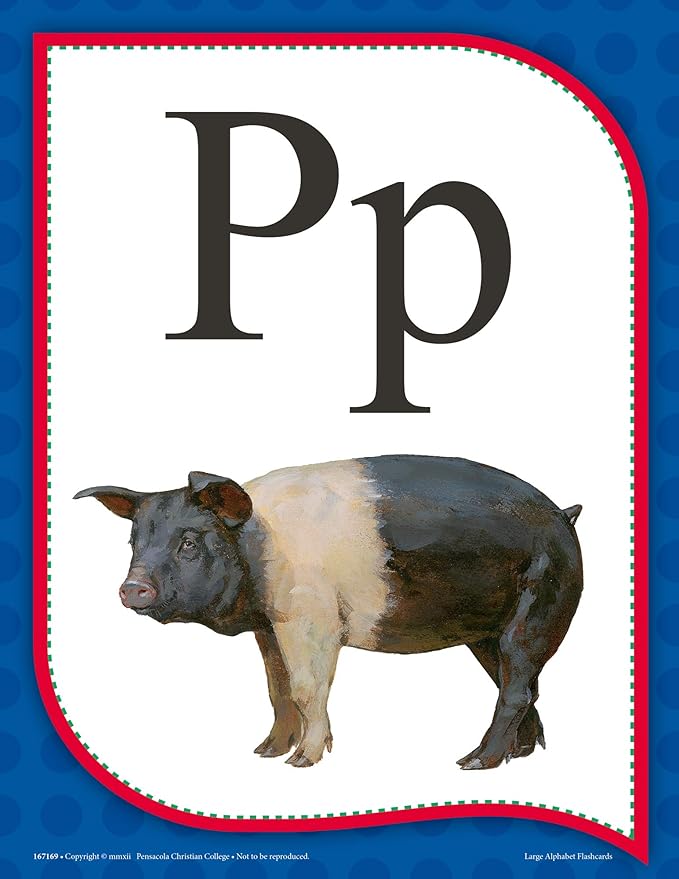 Large Alphabet Flashcards - Abeka Kindergarten 1st and 2nd Grade 1, 2 Letter Recognition Reading Program Large Letter Cards