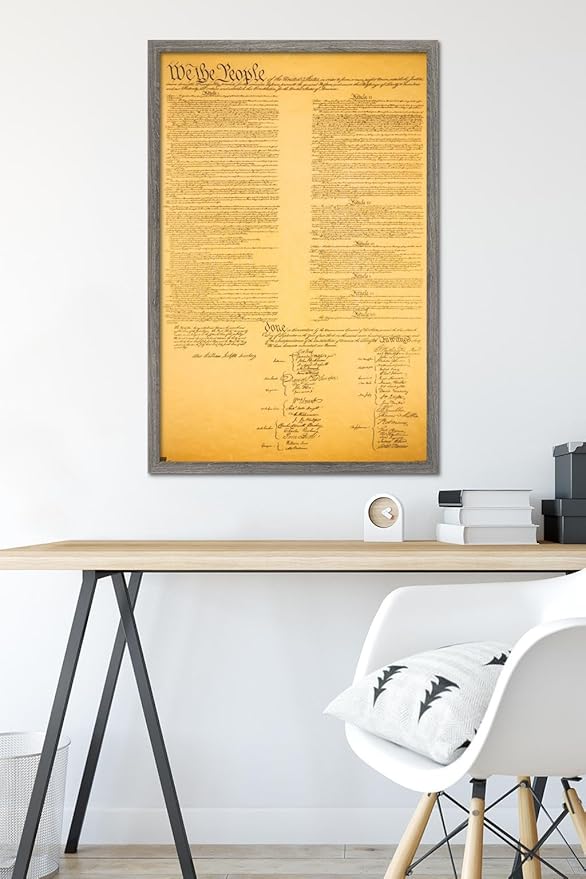 Trends International The Constitution Wall Poster, 22.375" x 34", Barnwood Framed Version