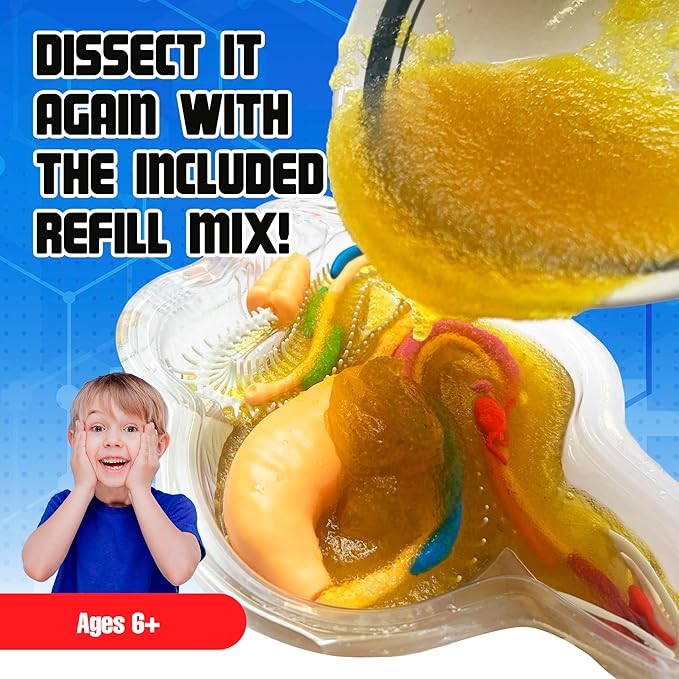 Rattlesnake Super Lab Dissect It Kit for Kids, Synthetic Dissection Kids Science Kit to Learn Biology, STEM Toys for 6 Year Old and Up