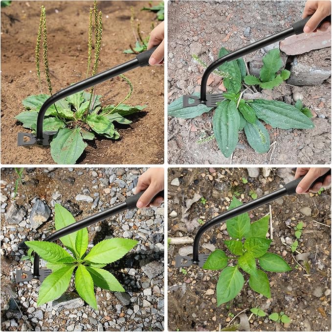 Gardening Hand Weeder Tools, 6 Teeth Uprooting Weeding Tool Multifunctional Manual Hand Weeder for Lawn Garden, Crack Weeder Crevice Weeding Tool, 3 PCS