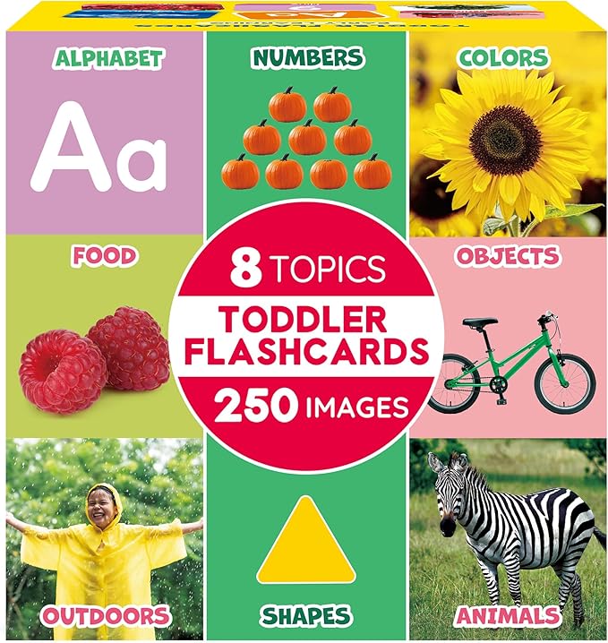 BenBen Flash Cards for Toddlers, Extra Thick, 250 Images, Double-Sided Educational Flashcards, Alphabet, Number, Animal, Shape, Color, Preschool Learning Activities, Gift for Kids 1 2 3 4 Years
