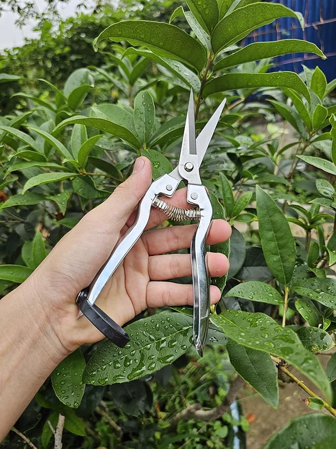 Pruning Shears Set of 3 – SK5 Steel Hand Pruners & Garden Clippers with Non-Slip Handle, Bonsai Shears for Fruit Trees, Flowers & Small Plants