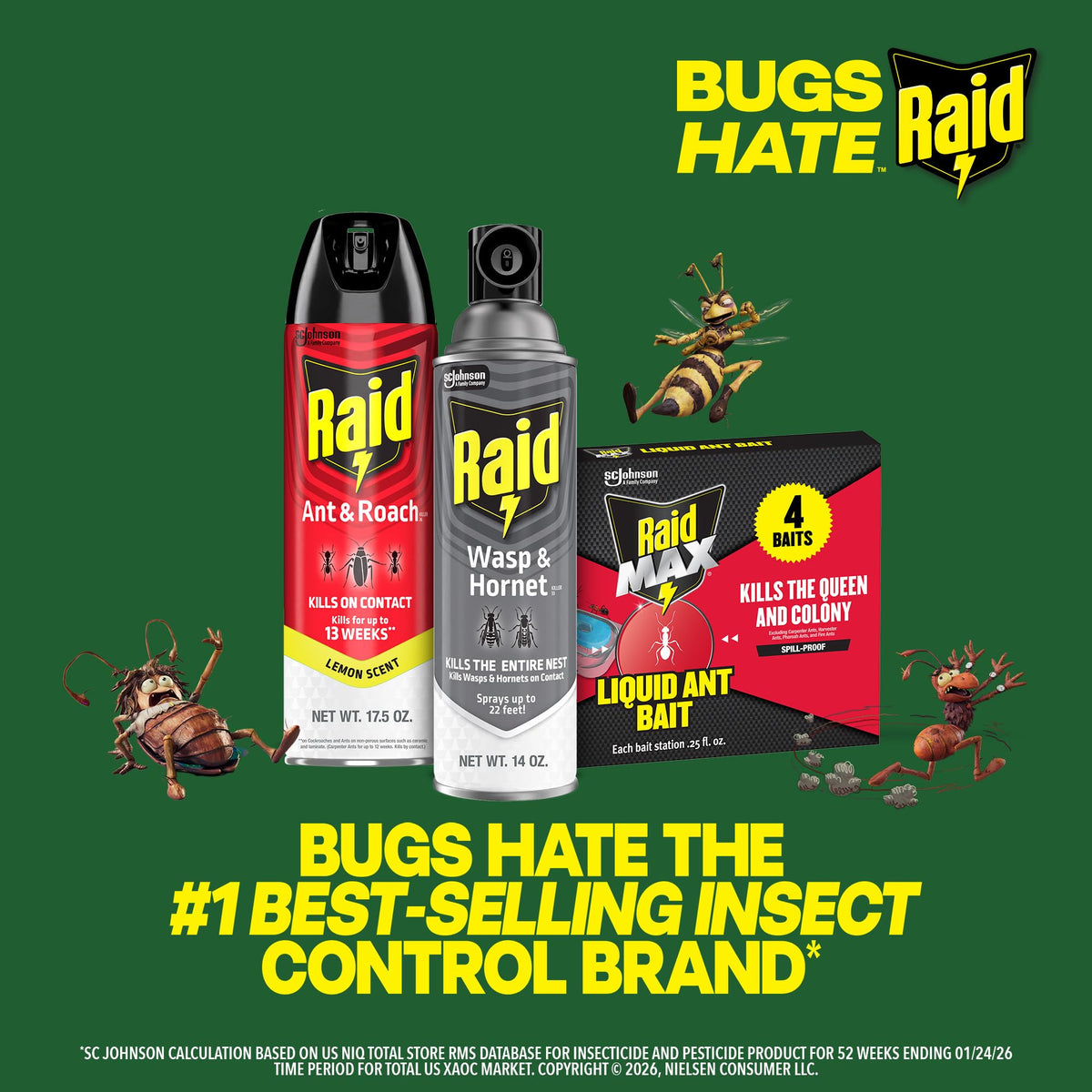 Raid Wasp & Hornet Killer Spray, Bug Killer, Wasp and Hornet Spray Kills the Entire Nest, 14 Oz, 2 Count