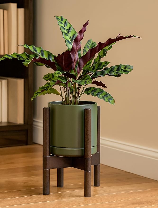 D'vine Dev Ceramic Planter with Walnut Color Stand - 8 Inch Modern Round Flower Pot with Wood Planter Holder, Olive, 55-B-Y-J
