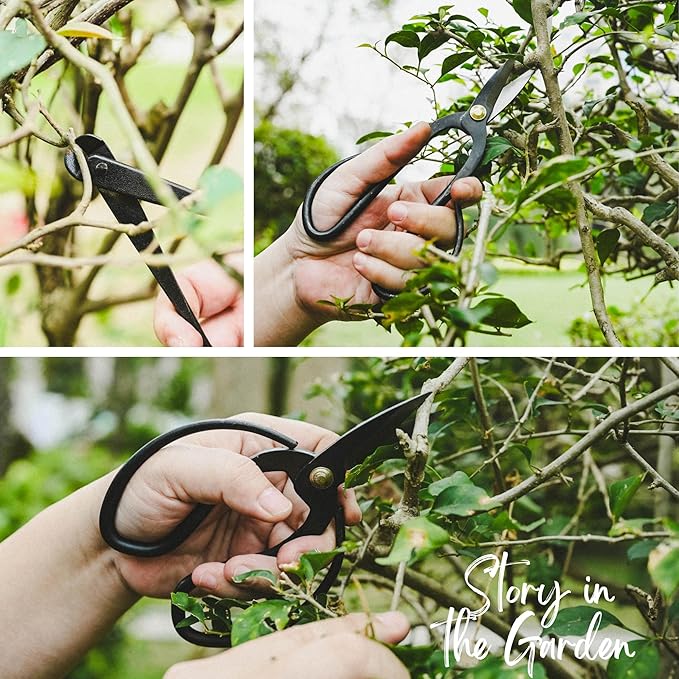 15-Piece Bonsai Tree Kit, Bonsai Tool Set, Bonsai Starter Kit, Carbon Steel Scissors, Cutter Shears, Rake with Spatula, Perfect Gardening Trimming Pruning Tools