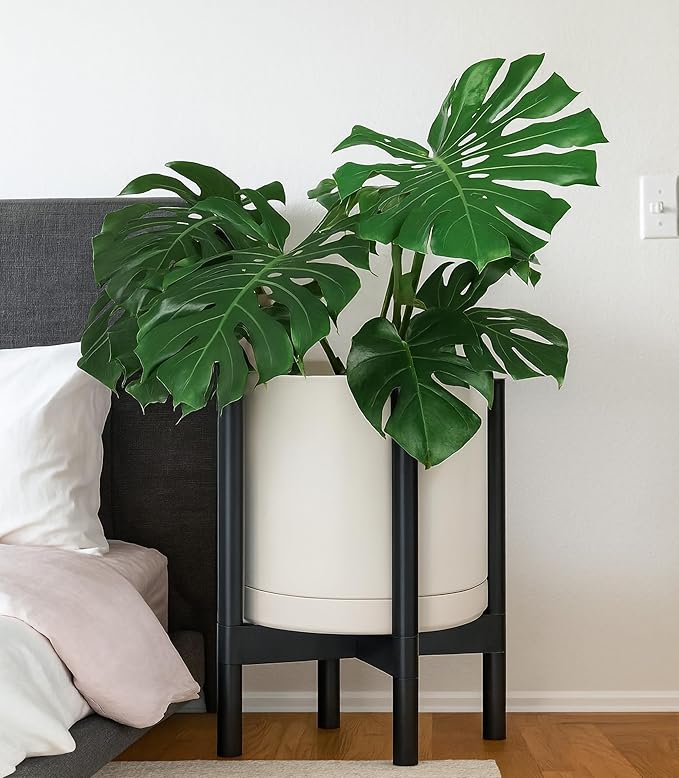 D'vine Dev Ceramic Planter with Ebony Stand - 12 Inch Modern Round Flower Pot with Wood Planter Holder, Oatmeal, 55-B-H-8
