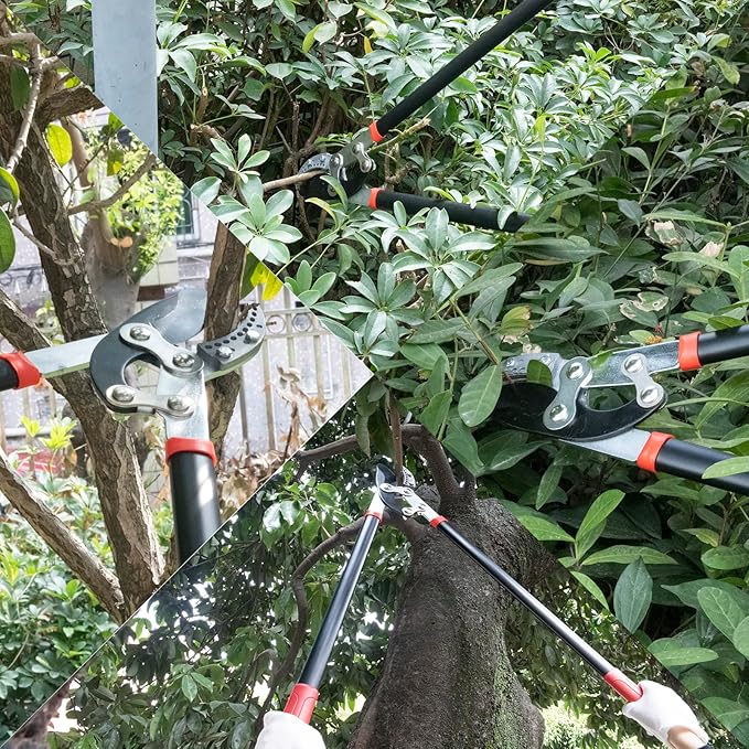 Loppers for Tree Trimming Heavy Duty 30 Inch Tree Branch Cutter Tree Trimmer With Compound Action Anvil Lopper With 2 Inch Cutting Capacity (1pcs)