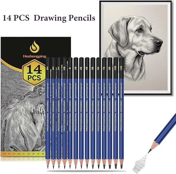 Pro Pencils Drawing Sketching Set 14 pcs Graphite (12B - 6H) Kit Soft Pencils Ideal Gift for Drawing Art, Sketching, Shading, Artist Pencils for Beginners Pro Artis