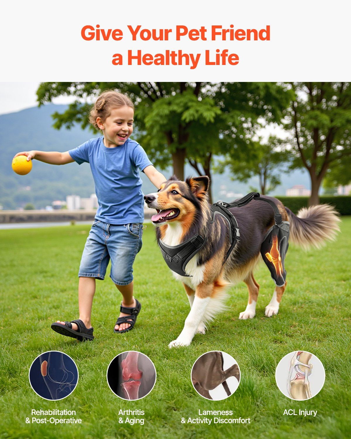 Dog Knee Brace for Left Leg Adjustable ACL Dog Leg Support Brace Pain Relief